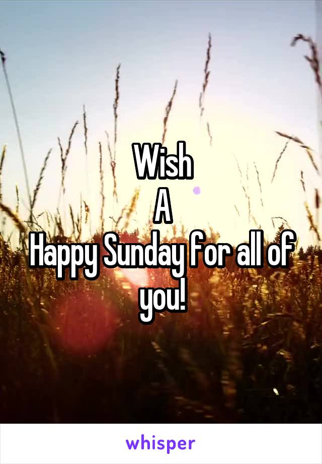 Wish
A
Happy Sunday for all of you!