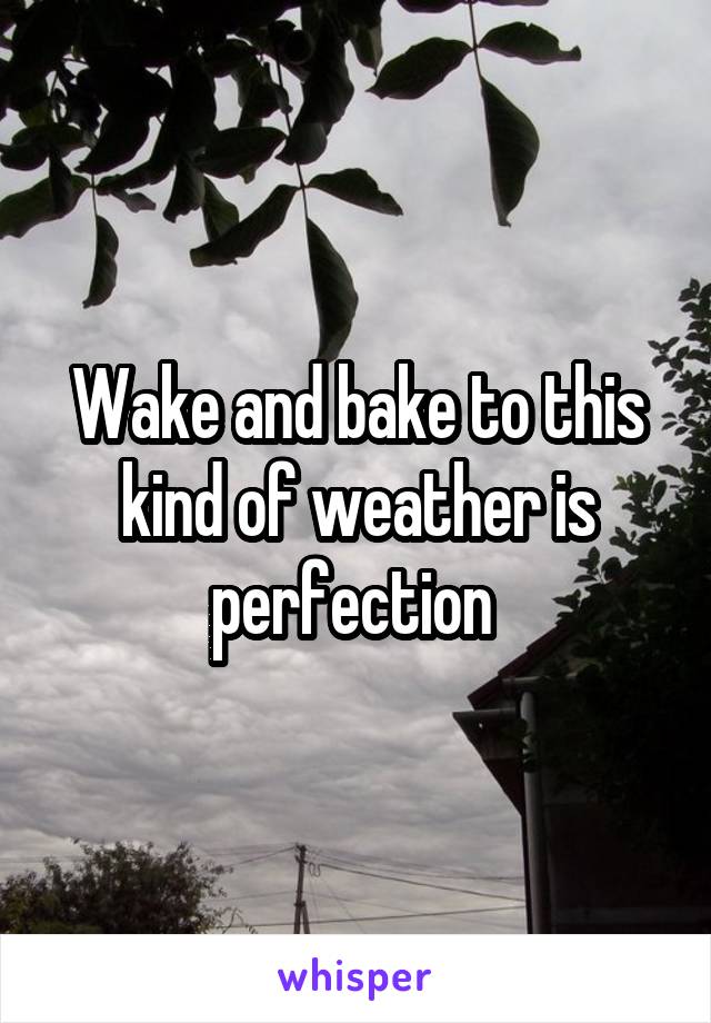 Wake and bake to this kind of weather is perfection 