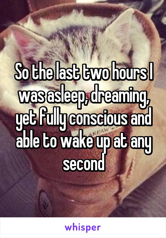 So the last two hours I was asleep, dreaming, yet fully conscious and able to wake up at any second