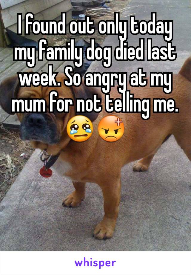 I found out only today my family dog died last week. So angry at my mum for not telling me. 😢😡
