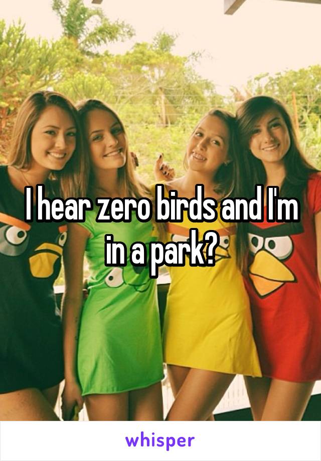 I hear zero birds and I'm in a park?