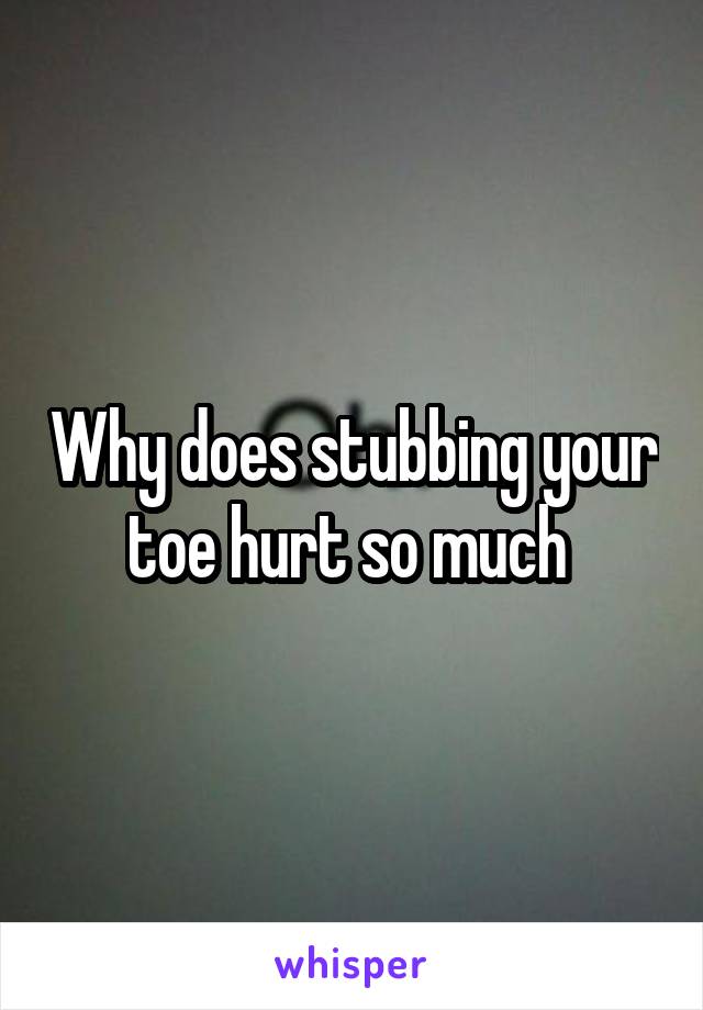 Why does stubbing your toe hurt so much 