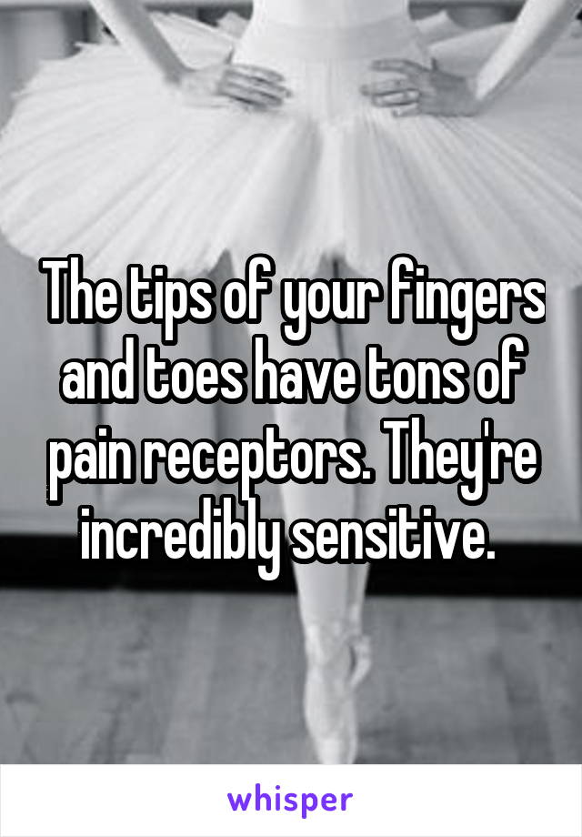 The tips of your fingers and toes have tons of pain receptors. They're incredibly sensitive. 