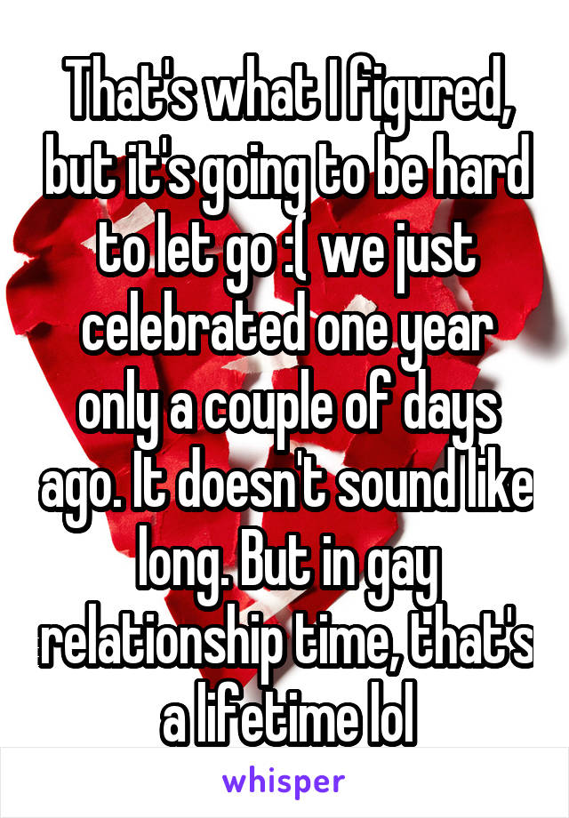 That's what I figured, but it's going to be hard to let go :( we just celebrated one year only a couple of days ago. It doesn't sound like long. But in gay relationship time, that's a lifetime lol