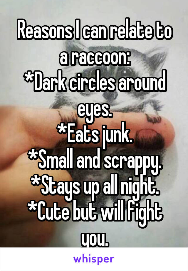 Reasons I can relate to a raccoon:
*Dark circles around eyes.
*Eats junk.
*Small and scrappy.
*Stays up all night.
*Cute but will fight you.