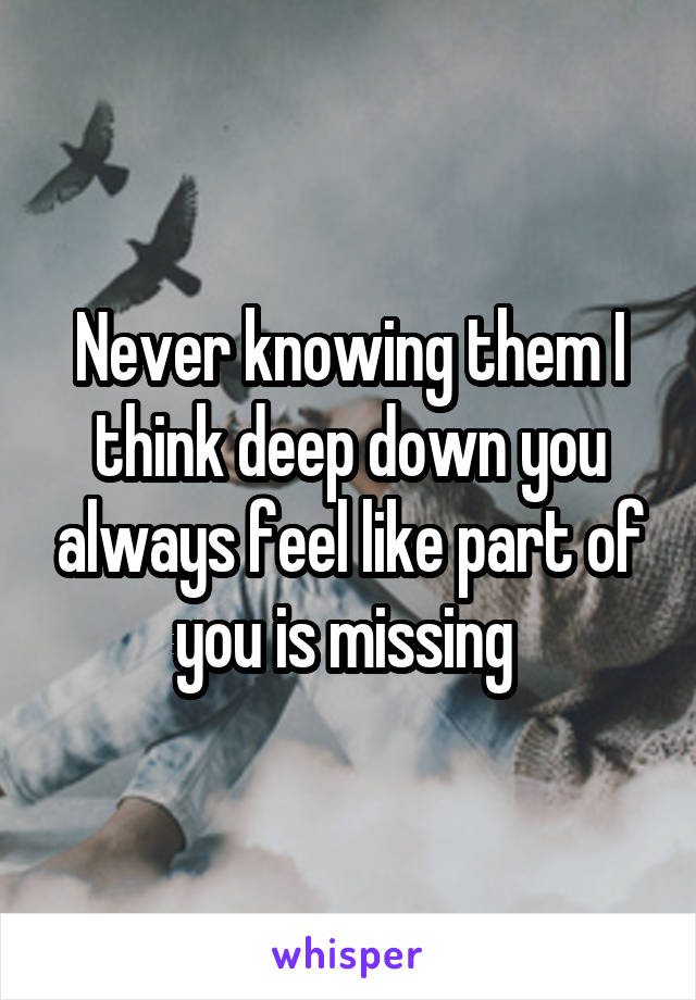 Never knowing them I think deep down you always feel like part of you is missing 