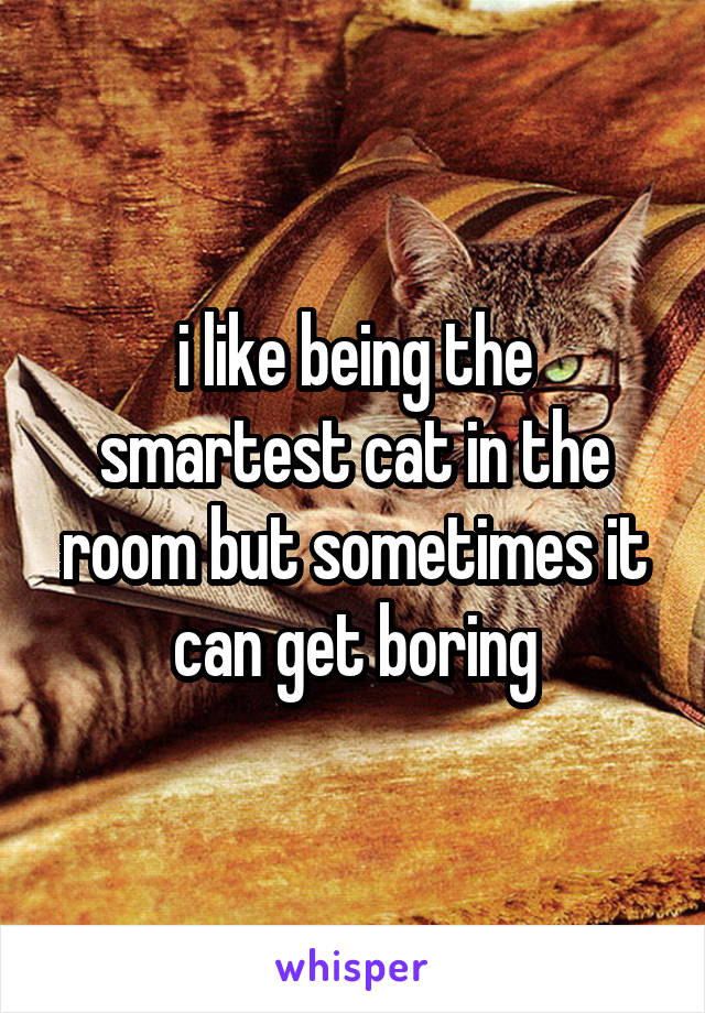 i like being the smartest cat in the room but sometimes it can get boring