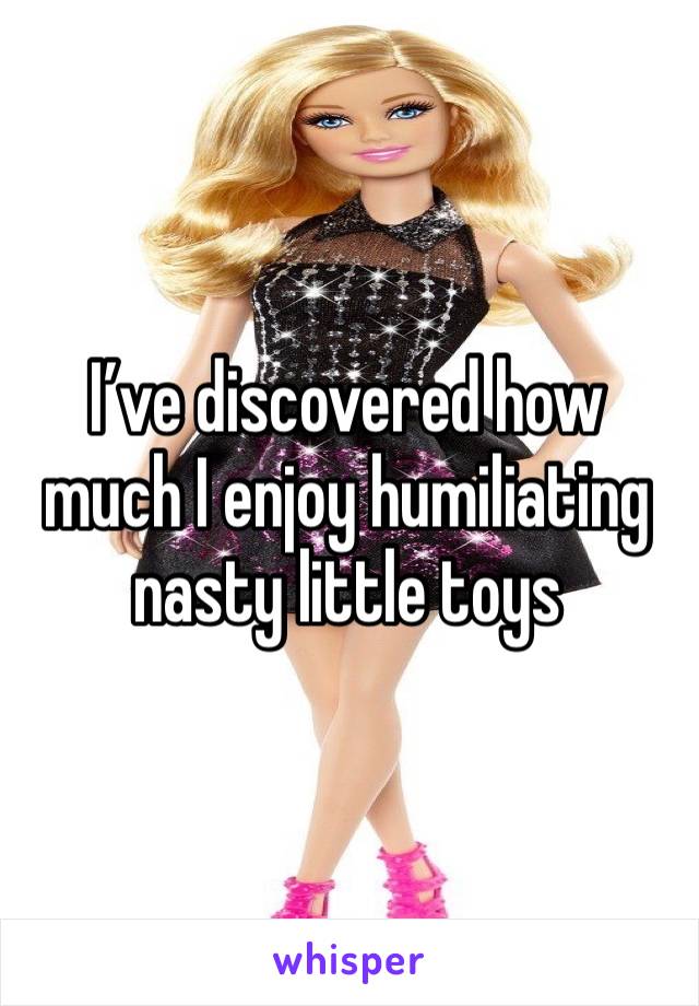 I’ve discovered how much I enjoy humiliating nasty little toys 