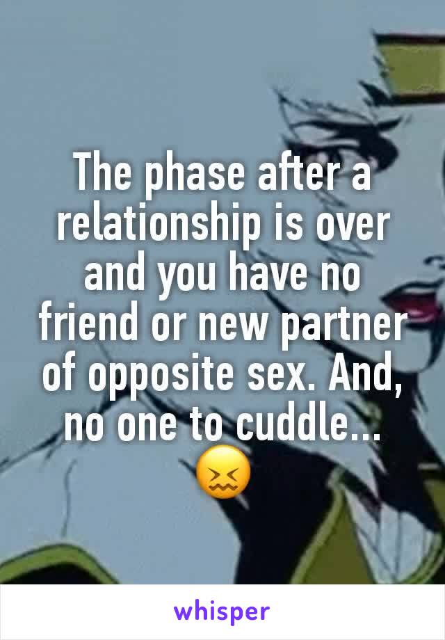 The phase after a relationship is over and you have no friend or new partner of opposite sex. And, no one to cuddle...
😖