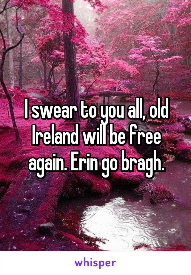 I swear to you all, old Ireland will be free again. Erin go bragh.