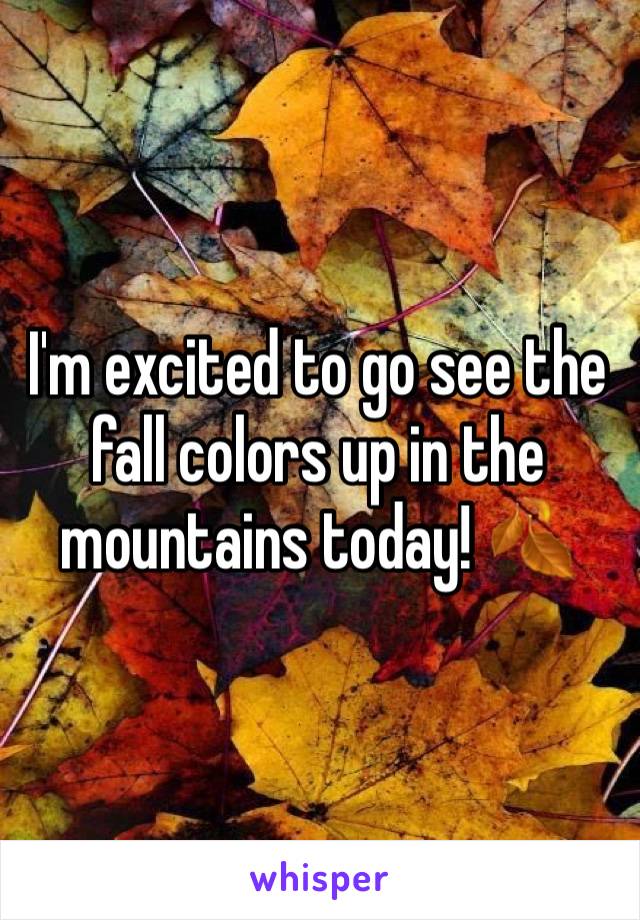 I'm excited to go see the fall colors up in the mountains today! 🍂