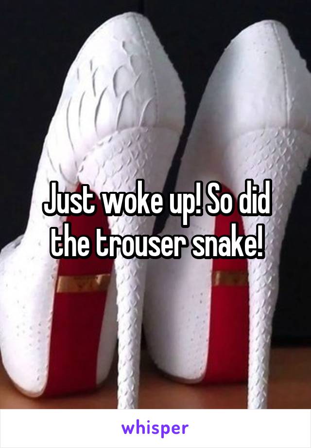 Just woke up! So did the trouser snake!