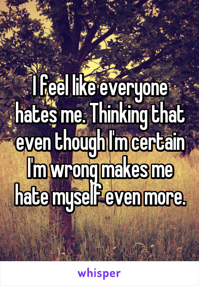 I feel like everyone hates me. Thinking that even though I'm certain I'm wrong makes me hate myself even more.