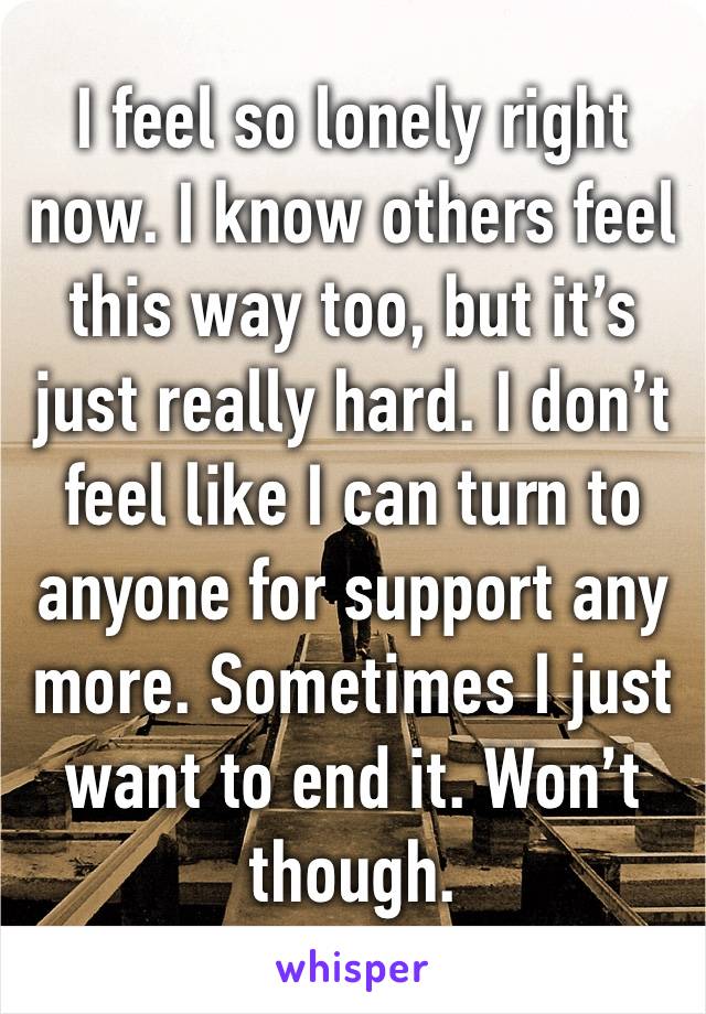 I feel so lonely right now. I know others feel this way too, but it’s just really hard. I don’t feel like I can turn to anyone for support any more. Sometimes I just want to end it. Won’t though. 