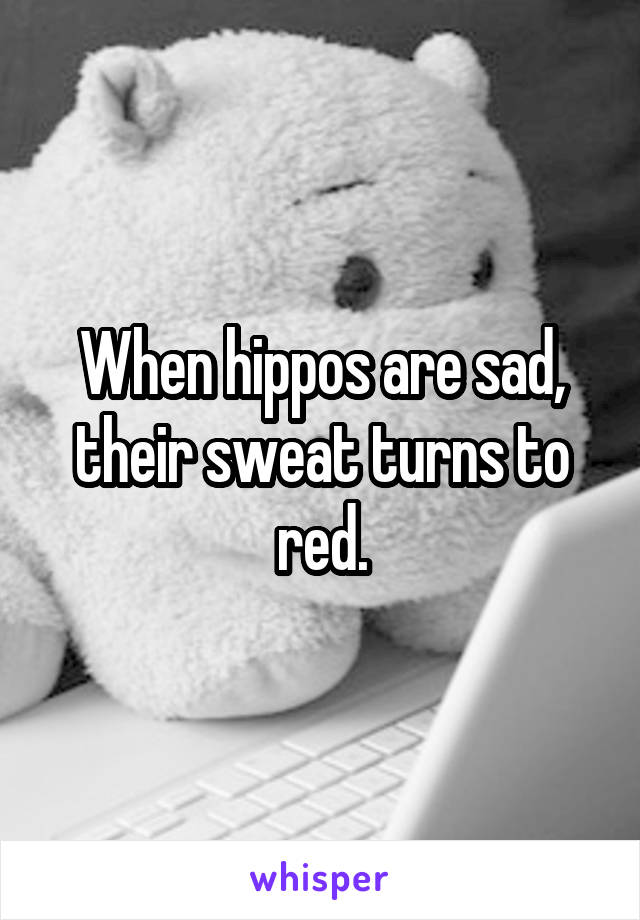 When hippos are sad, their sweat turns to red.