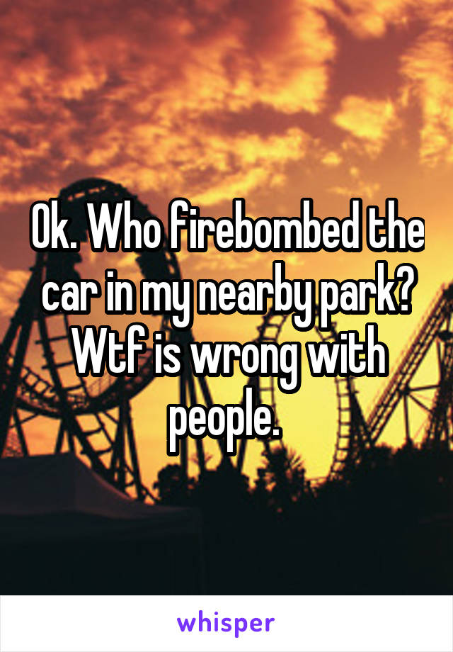 Ok. Who firebombed the car in my nearby park? Wtf is wrong with people. 