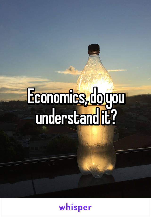 Economics, do you understand it?