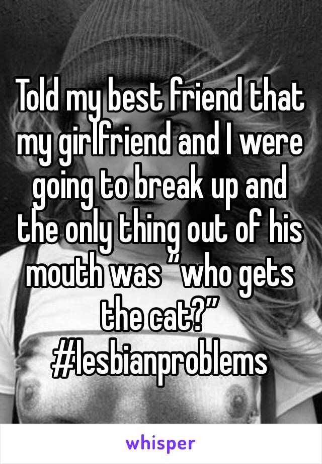 Told my best friend that my girlfriend and I were going to break up and the only thing out of his mouth was “who gets the cat?” #lesbianproblems