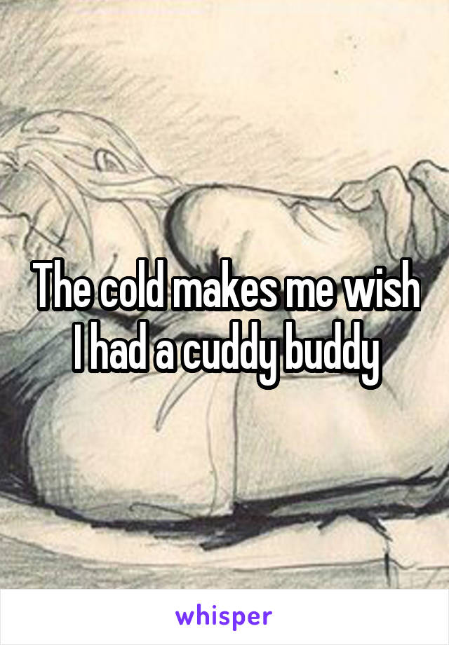 The cold makes me wish I had a cuddy buddy