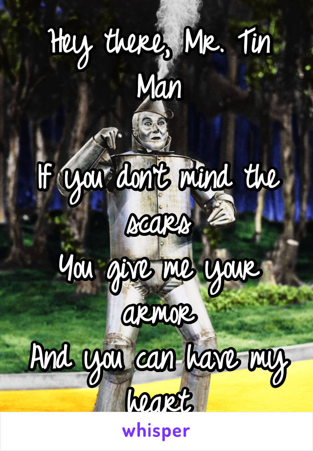 Hey there, Mr. Tin Man

If you don't mind the scars
You give me your armor
And you can have my heart