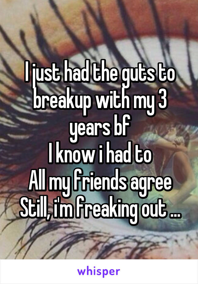 I just had the guts to breakup with my 3 years bf
I know i had to
All my friends agree
Still, i'm freaking out ...