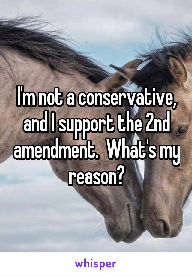 I'm not a conservative, and I support the 2nd amendment.  What's my reason?