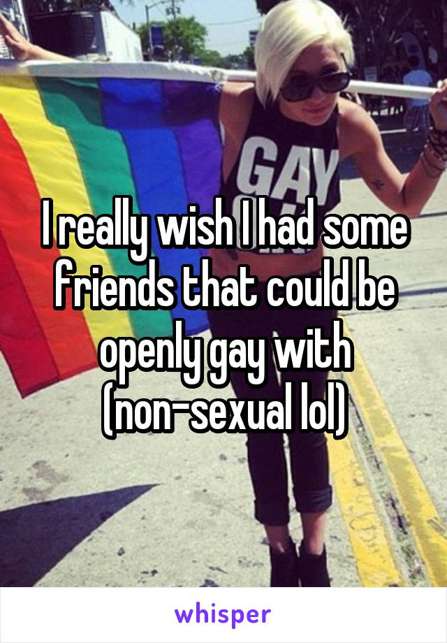 I really wish I had some friends that could be openly gay with (non-sexual lol)