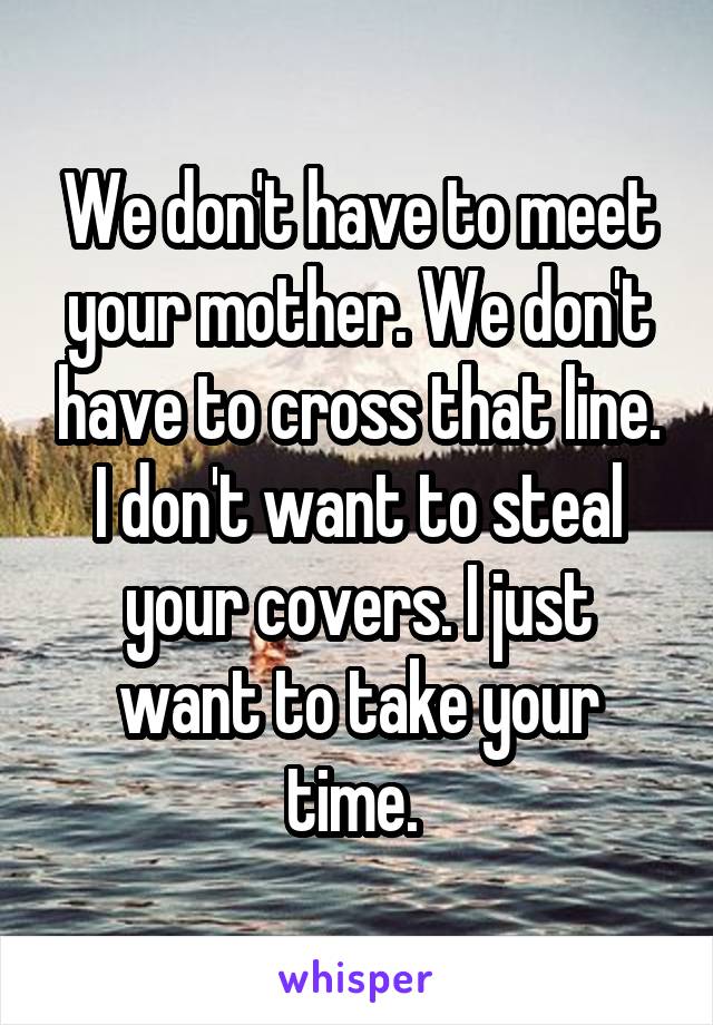 We don't have to meet your mother. We don't have to cross that line. I don't want to steal your covers. I just want to take your time. 