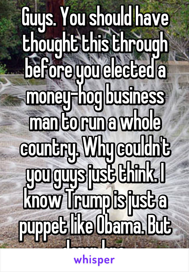 Guys. You should have thought this through before you elected a money-hog business man to run a whole country. Why couldn't you guys just think. I know Trump is just a puppet like Obama. But damn bro.