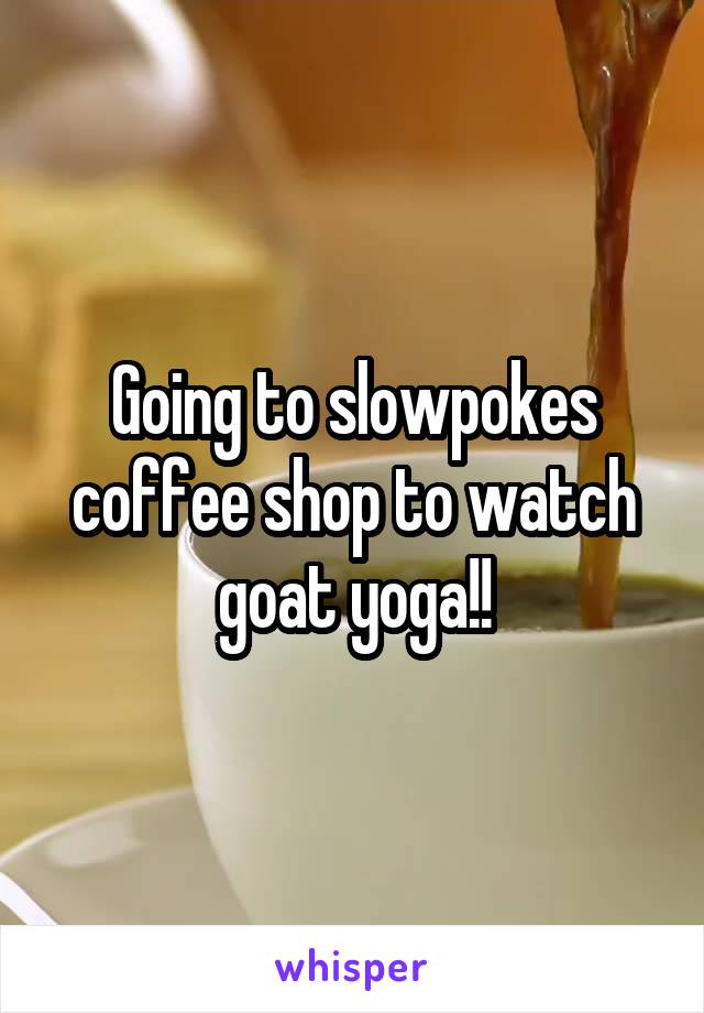 Going to slowpokes coffee shop to watch goat yoga!!