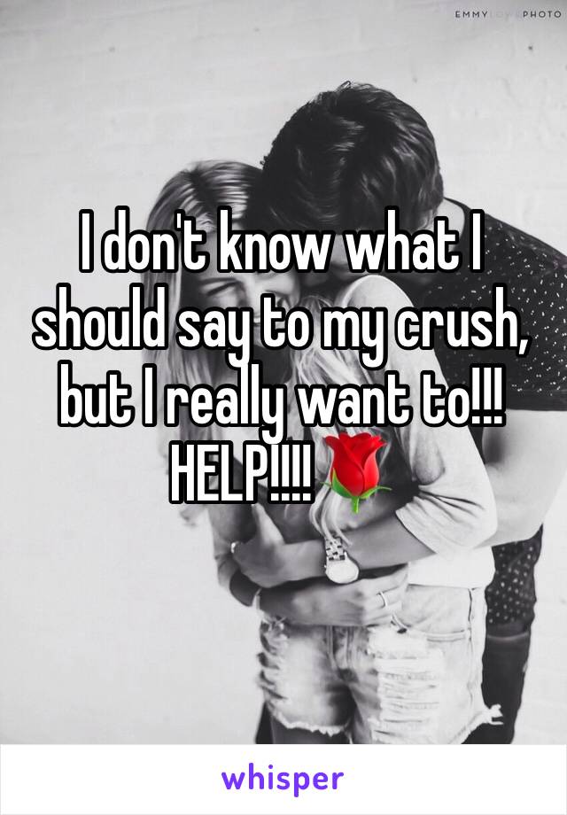 I don't know what I should say to my crush, but I really want to!!! 
HELP!!!!🌹