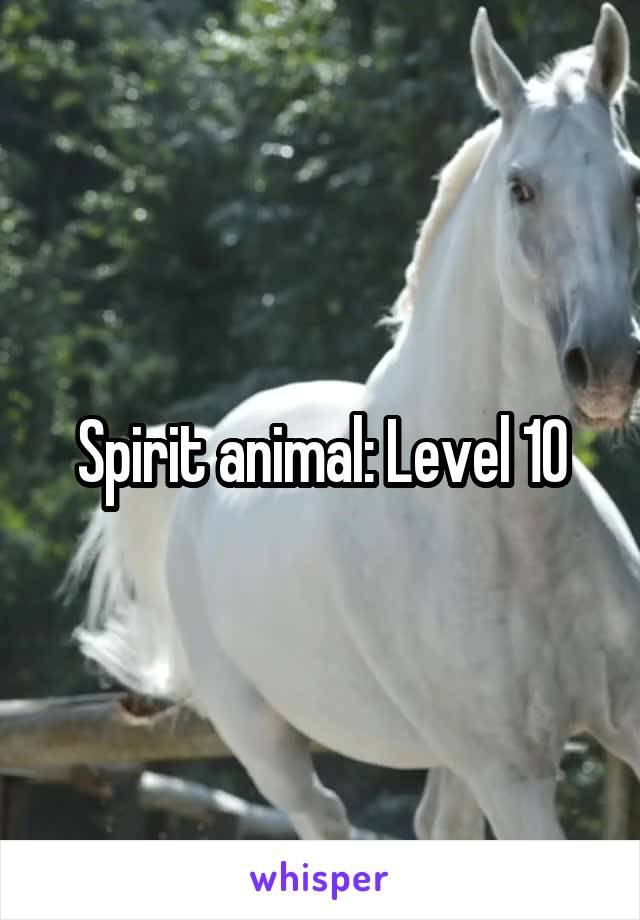 Spirit animal: Level 10