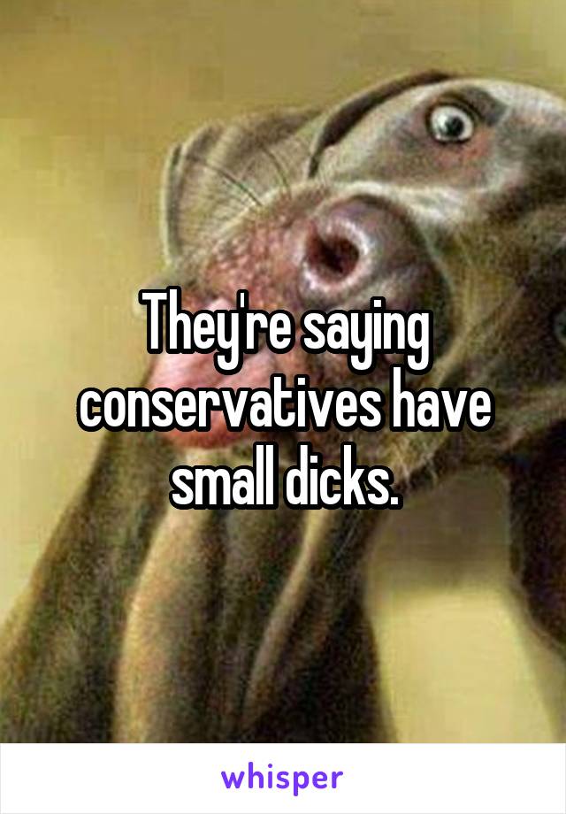 They're saying conservatives have small dicks.