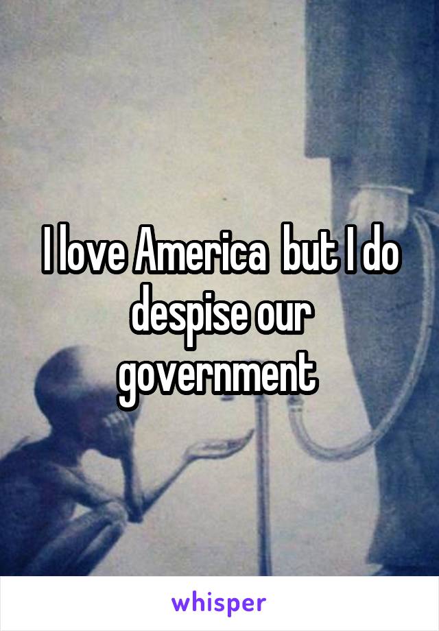I love America  but I do despise our government 