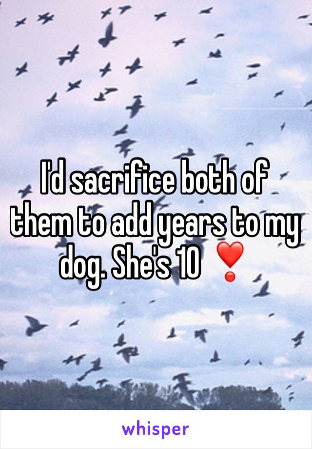 I'd sacrifice both of them to add years to my dog. She's 10 ❣️