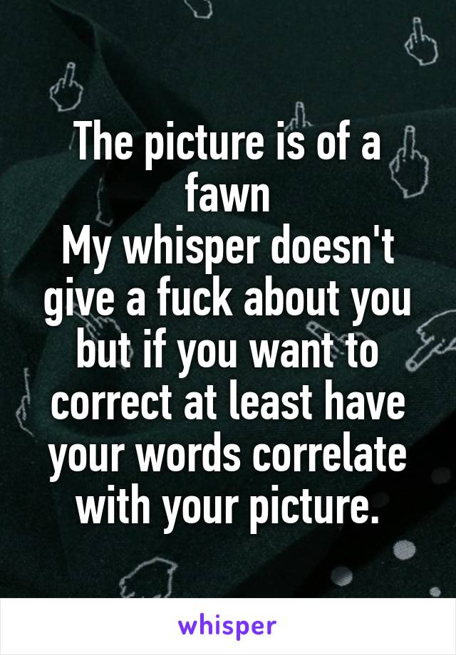 The picture is of a fawn
My whisper doesn't give a fuck about you but if you want to correct at least have your words correlate with your picture.