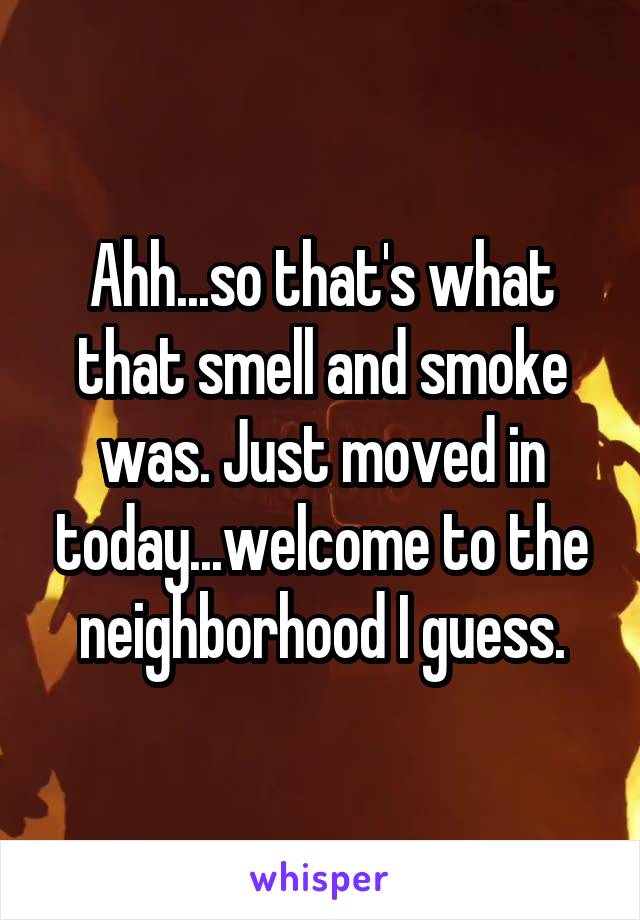 Ahh...so that's what that smell and smoke was. Just moved in today...welcome to the neighborhood I guess.