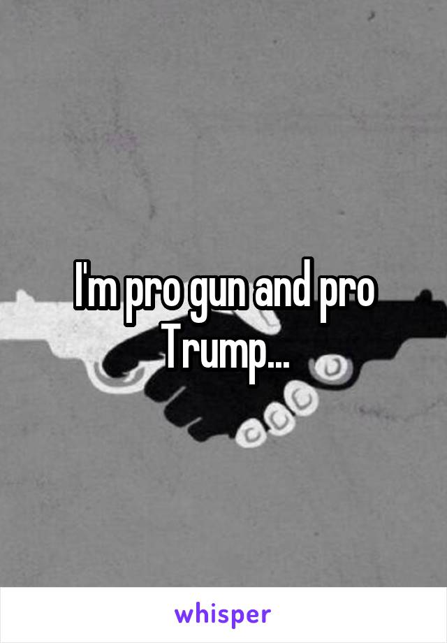 I'm pro gun and pro Trump...