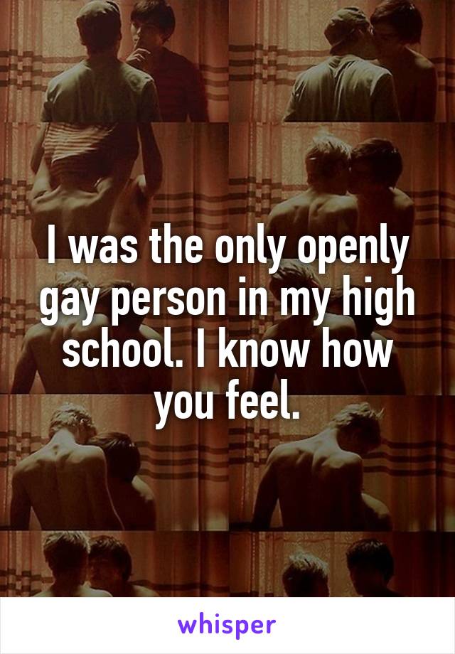 I was the only openly gay person in my high school. I know how you feel.