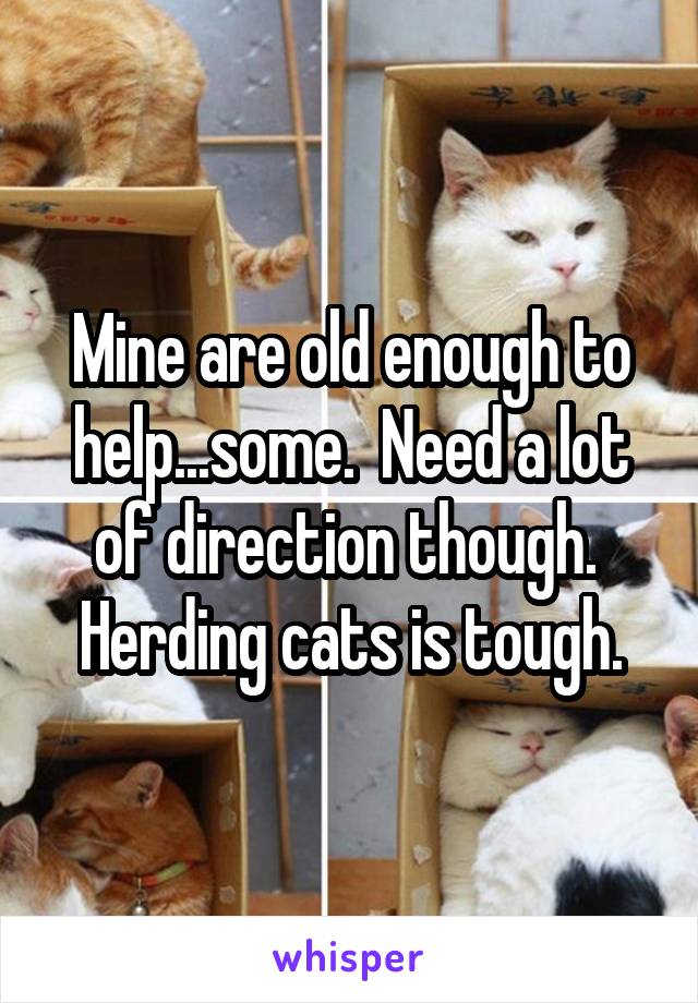 Mine are old enough to help...some.  Need a lot of direction though.  Herding cats is tough.