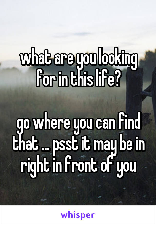 what are you looking for in this life?

go where you can find that ... psst it may be in right in front of you
