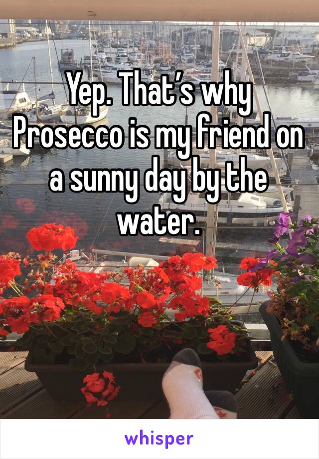 Yep. That’s why Prosecco is my friend on a sunny day by the water. 