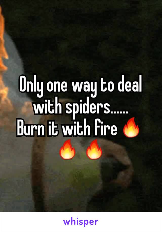 Only one way to deal with spiders......
Burn it with fire🔥🔥🔥