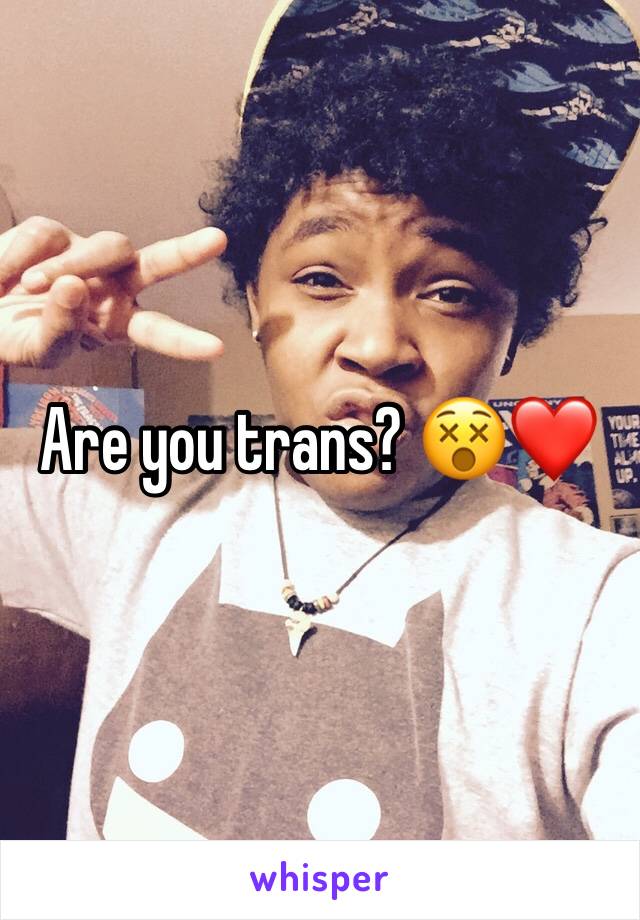 Are you trans? 😵❤️