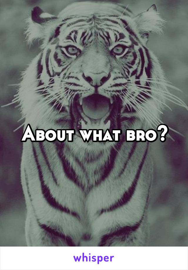 About what bro?