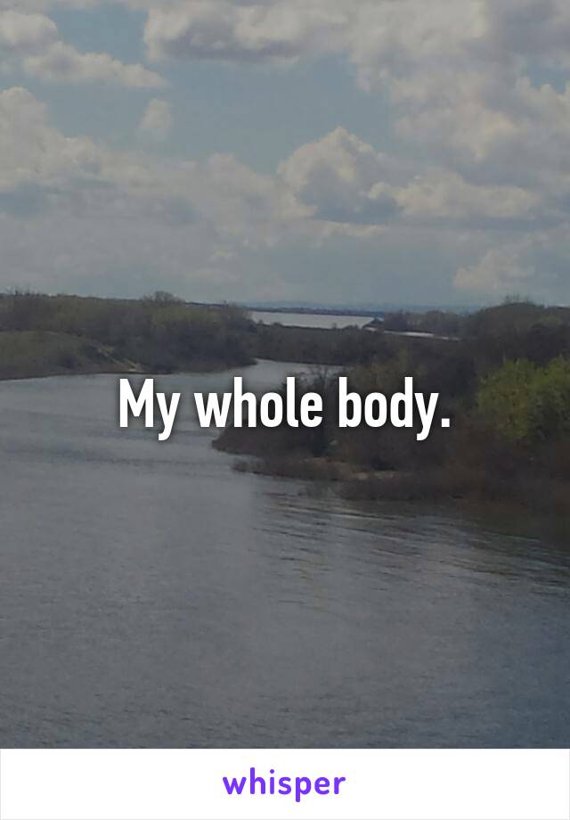 My whole body.