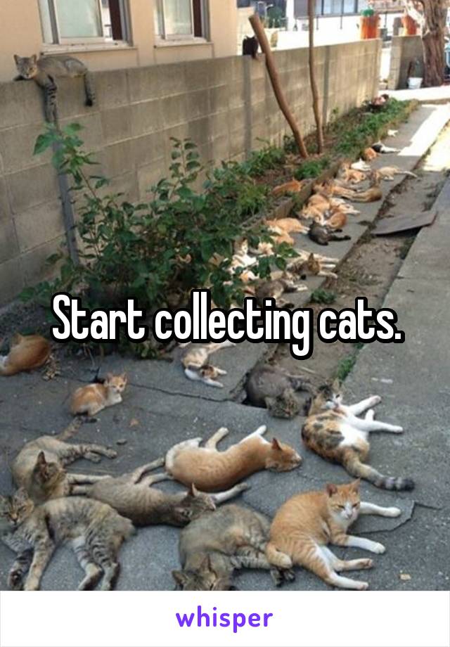 Start collecting cats.