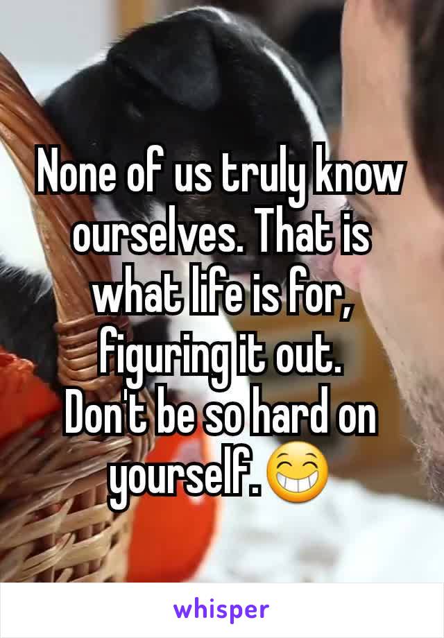 None of us truly know ourselves. That is what life is for,
figuring it out.
Don't be so hard on yourself.😁