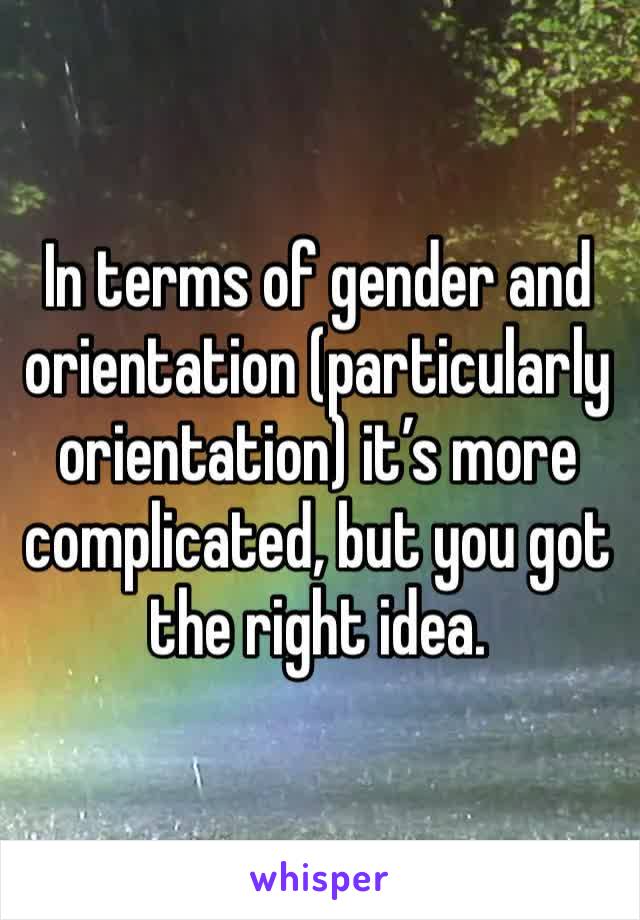 In terms of gender and orientation (particularly orientation) it’s more complicated, but you got the right idea.