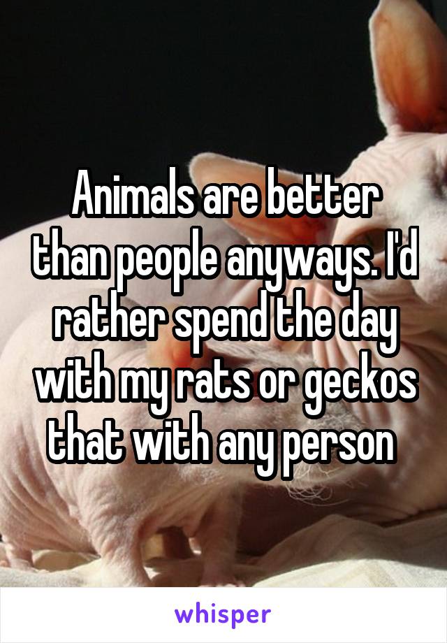Animals are better than people anyways. I'd rather spend the day with my rats or geckos that with any person 